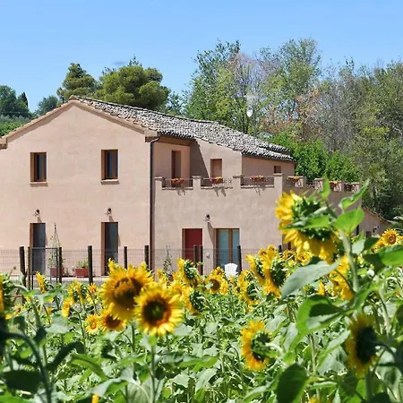 Casa Montefiore 13 Girasoli Lt Nella Tranquilla Campagna Marchigiana *