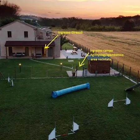 Casa Montefiore 13 Girasoli Lt Nella Tranquilla Campagna Marchigiana Ancône