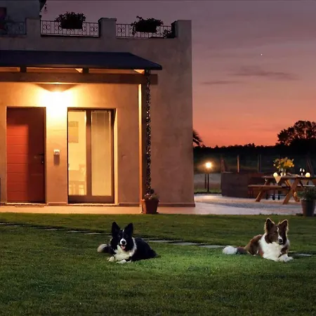 Apartment Casa Montefiore 13 Girasoli Lt Nella Tranquilla Campagna Marchigiana *