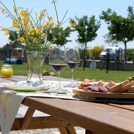 Casa Montefiore 13 Girasoli Lt Nella Tranquilla Campagna Marchigiana *