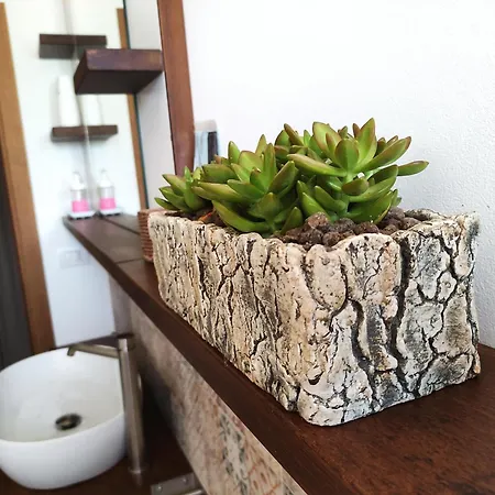 Casa Montefiore 13 Girasoli Lt Nella Tranquilla Campagna Marchigiana Ancona