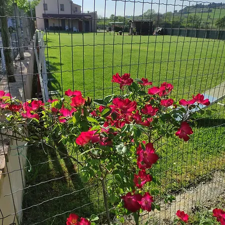 Casa Montefiore 13 Girasoli Lt Nella Tranquilla Campagna Marchigiana *